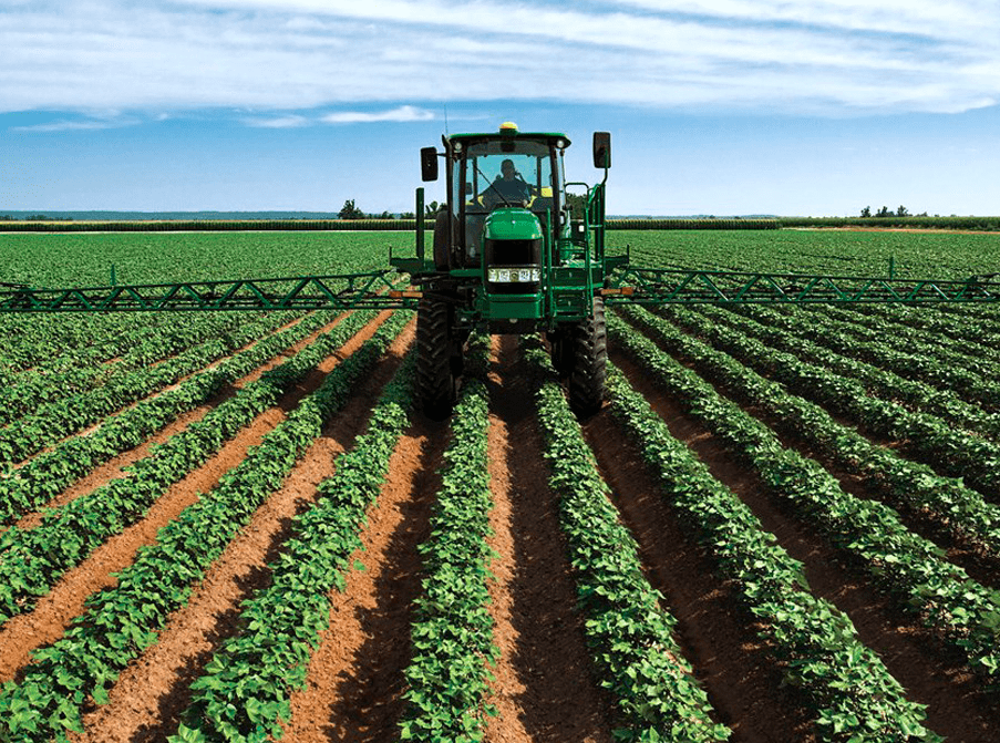 About AL-FATEH Export