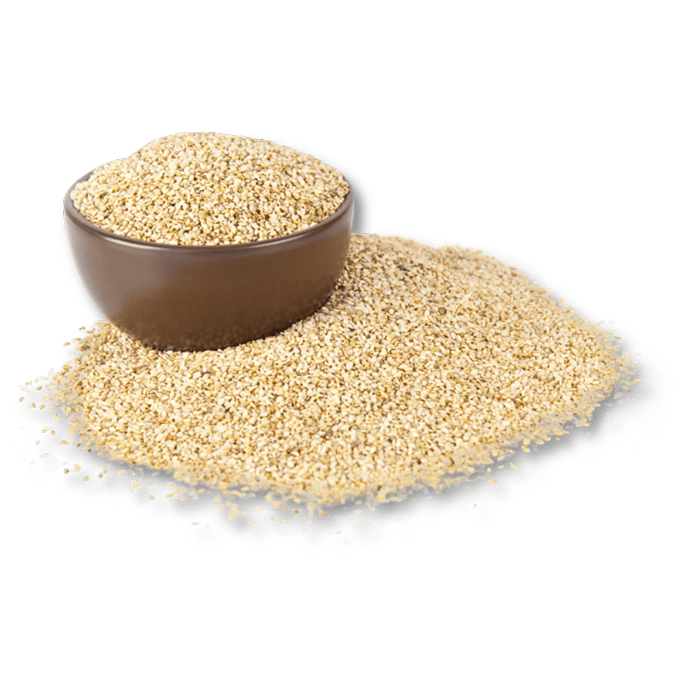 SESAME GRAIN