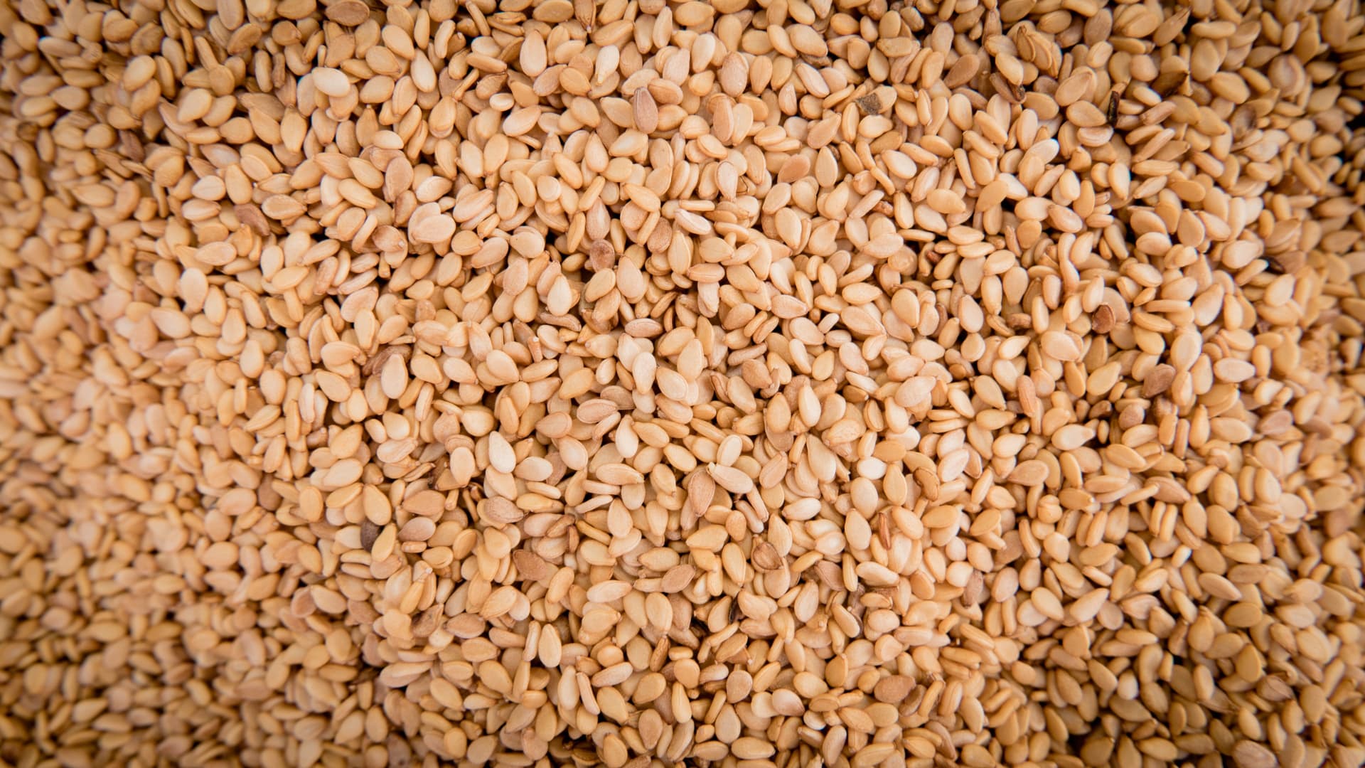 PREMIUM PAKISTANI SESAME GRAIN